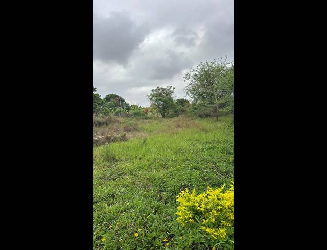 LAND FOR SALE IN MAKUMBANE